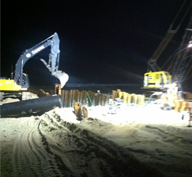 beach crane3